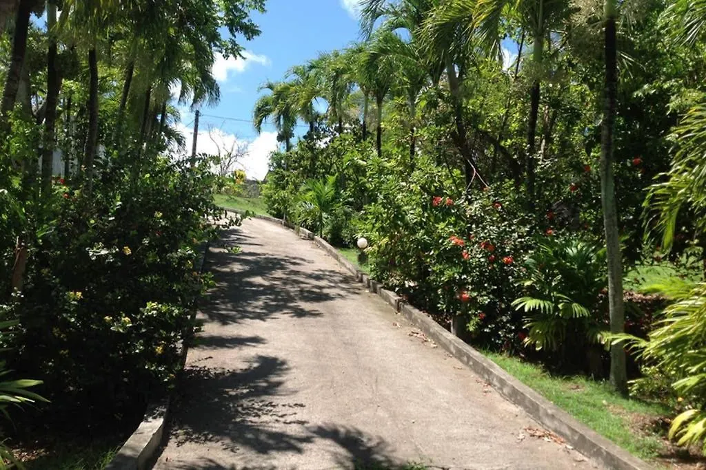 Holiday home Le Domaine De Boisvin Villa Sainte-Anne  Guadeloupe